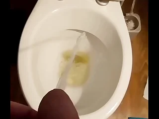 An evening pee